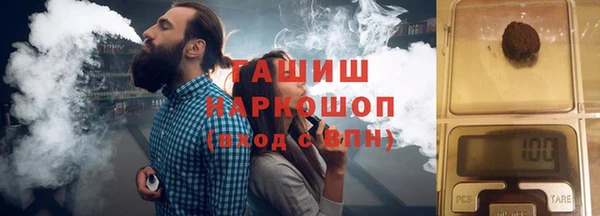 гидра Богданович