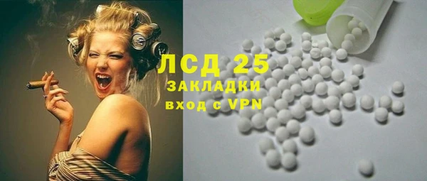 гидра Богданович