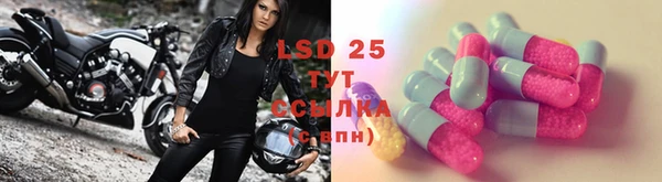 ECSTASY Богородицк
