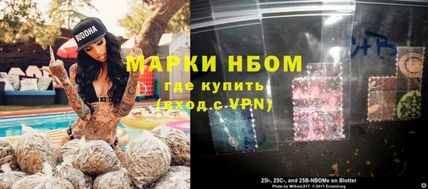 ECSTASY Богородицк