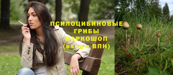 гидра Богданович