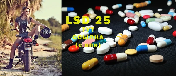 ECSTASY Богородицк