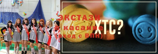 ECSTASY Богородицк